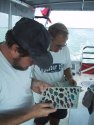 Checking fish IDs
