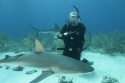 Me - surviving the shark dive